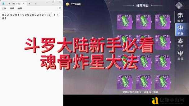零氪党必看!斗罗大陆魂师对决魂骨升阶技巧,3天秒变战神!
