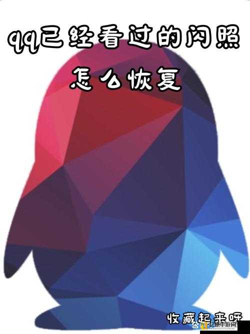 QQ闪照突然销毁?这3招让你绝杀找回2020回忆!绝了必看