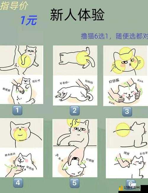 手残党必看!抓住神经猫的5个神级技巧,秒变游戏大佬!
