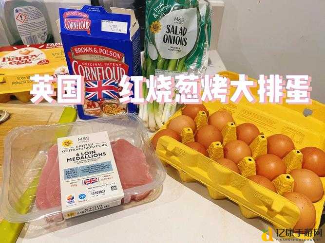 明日之后炭烤红鲷鱼绝了!手残党也能3分钟学会香到舔盘