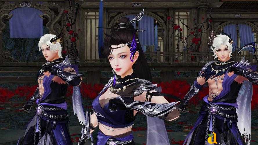 天龙私服推荐!这些隐藏福利让你直接笑到合不拢嘴!