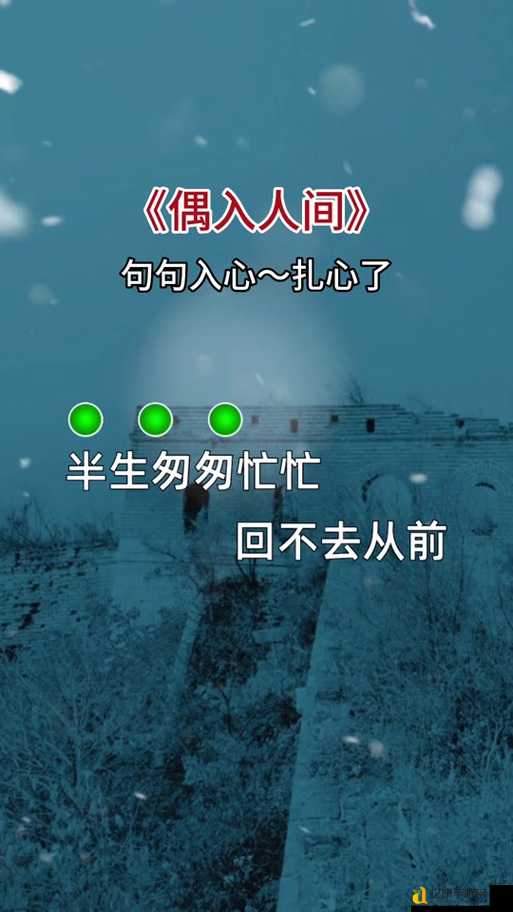 ?抖音爆火你做我的流川枫 做我的大英雄歌词有多戳心?看完直接泪崩!