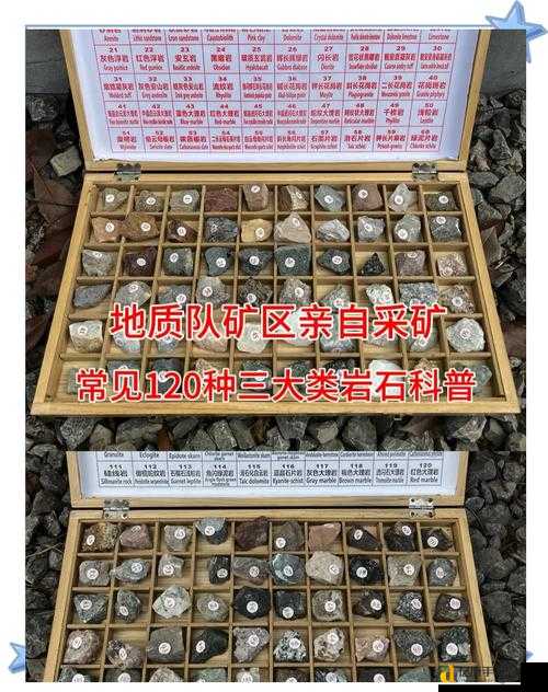 ?岩石元素超神秘籍!命运决战玩家必存的图鉴干货?