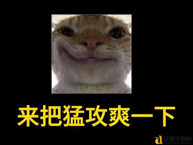 舒舒鼠到底强不强?爆肝实测带你抄作业!