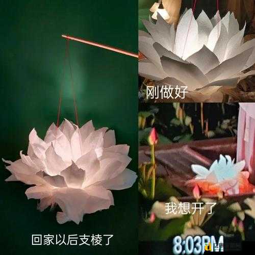 七夕必收!26盏许愿莲灯超全攻略_情侣出片神器速戳