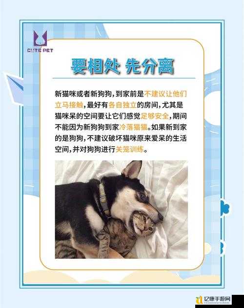 震惊!野兽变宠物秘诀曝光,3步驯化成功率暴涨90%!