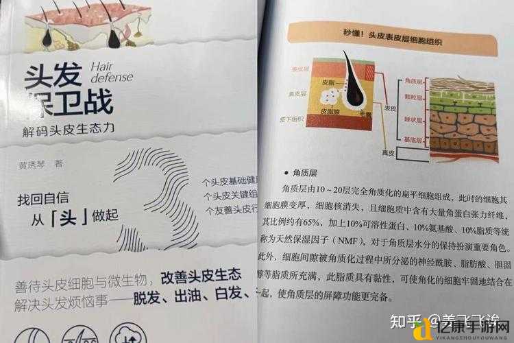 魔皇加点避坑指南!零失误技能分配方案大公开