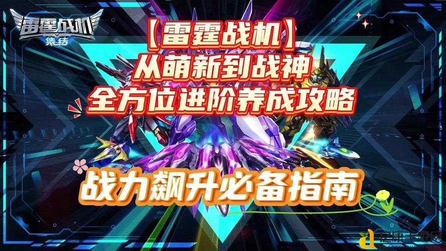 刀了个塔英雄升级攻略!从萌新到战神的狂飙秘籍你不得不看