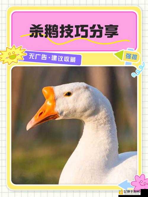 鹅鸭杀间谍必胜技巧！3招教你化身隐藏杀手