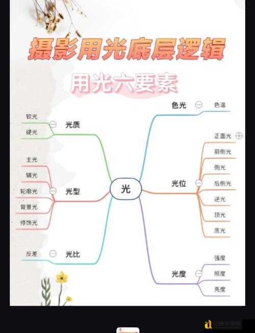 ✨怪光写真必看！新手秒变大师的详细流程攻略