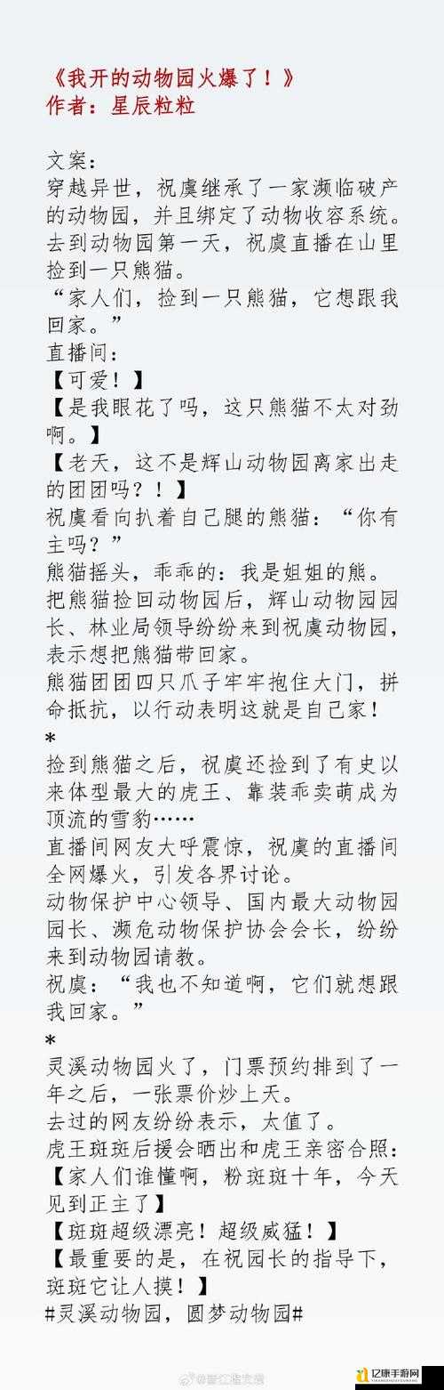 幻想之城兽族攻略！保姆级教程带你速通隐藏剧情